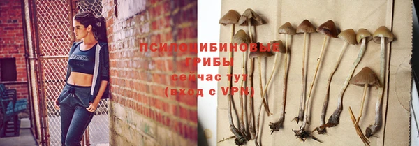 гашик Баксан